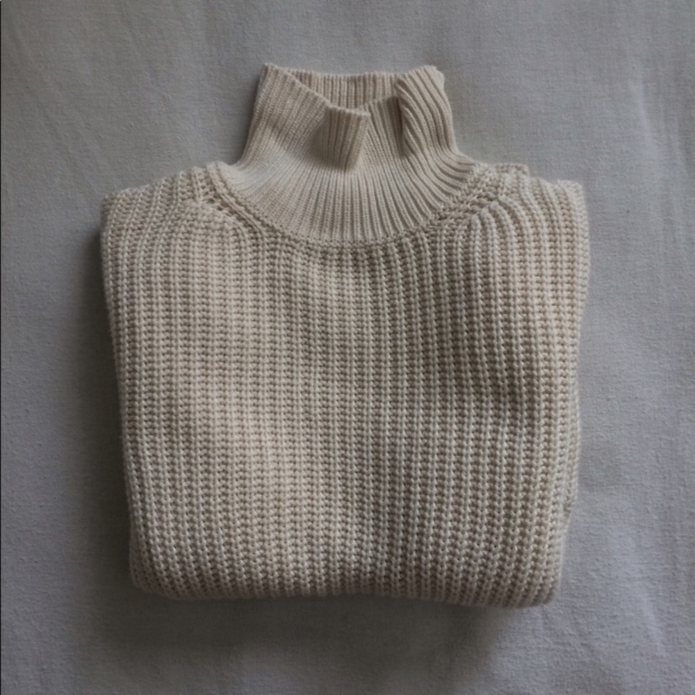 NWOT Brandy Melville Georgina turtleneck sweater
